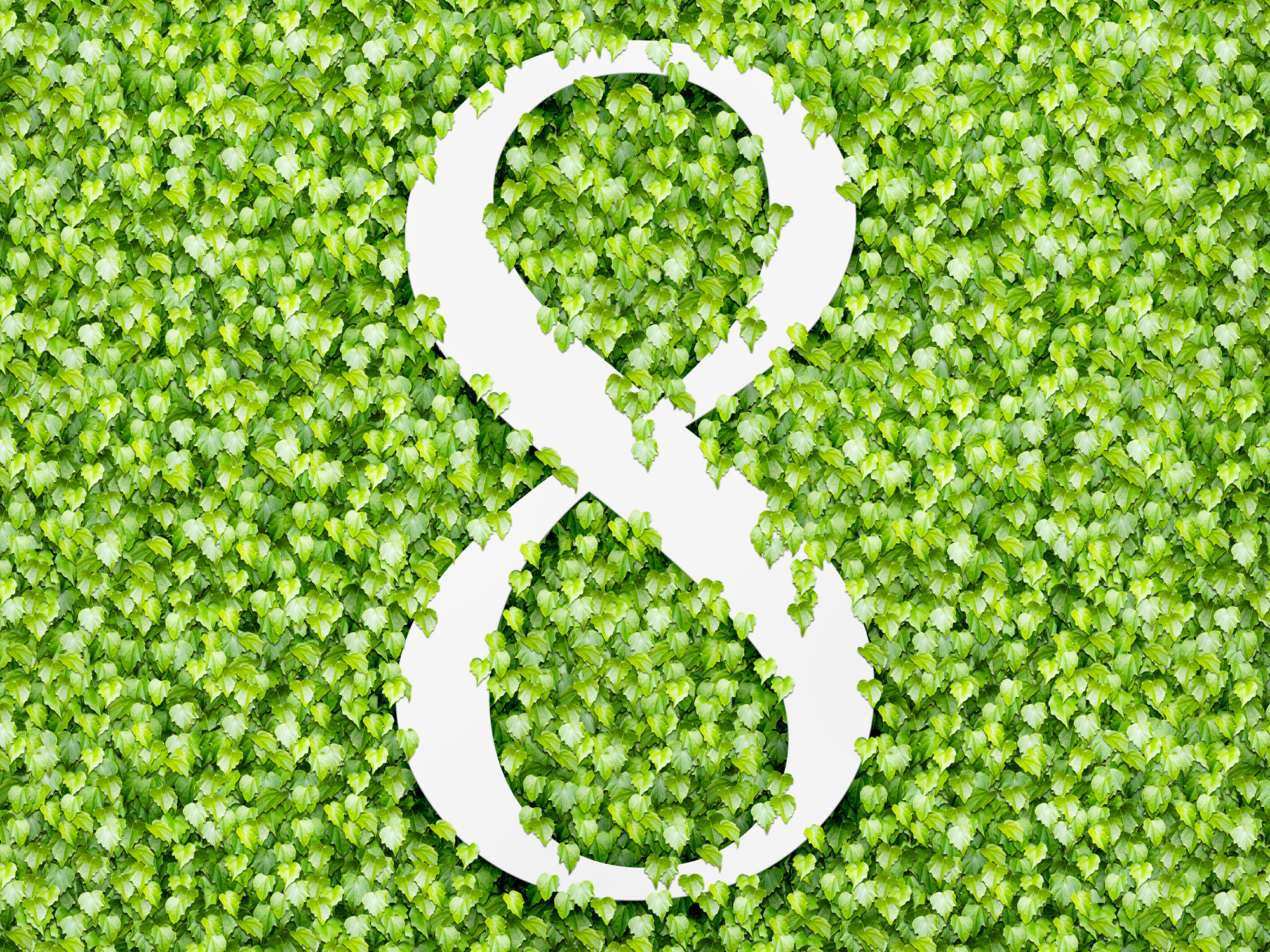 8 Chemopreventive foods: The future of cancer therapy