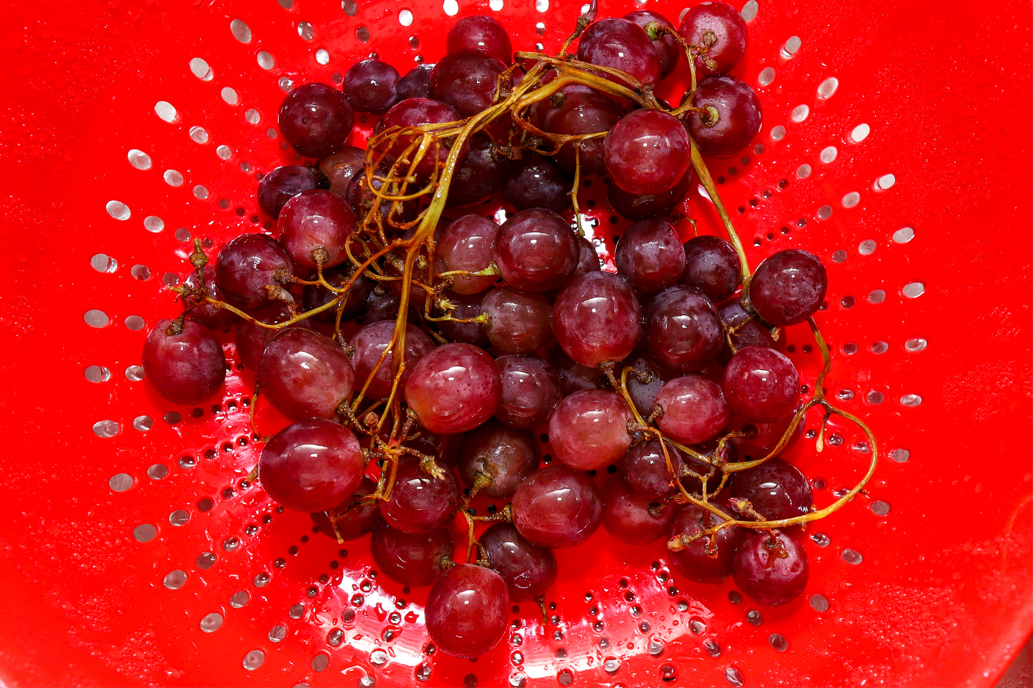 1,600 reasons to eat this underappreciated superfruit