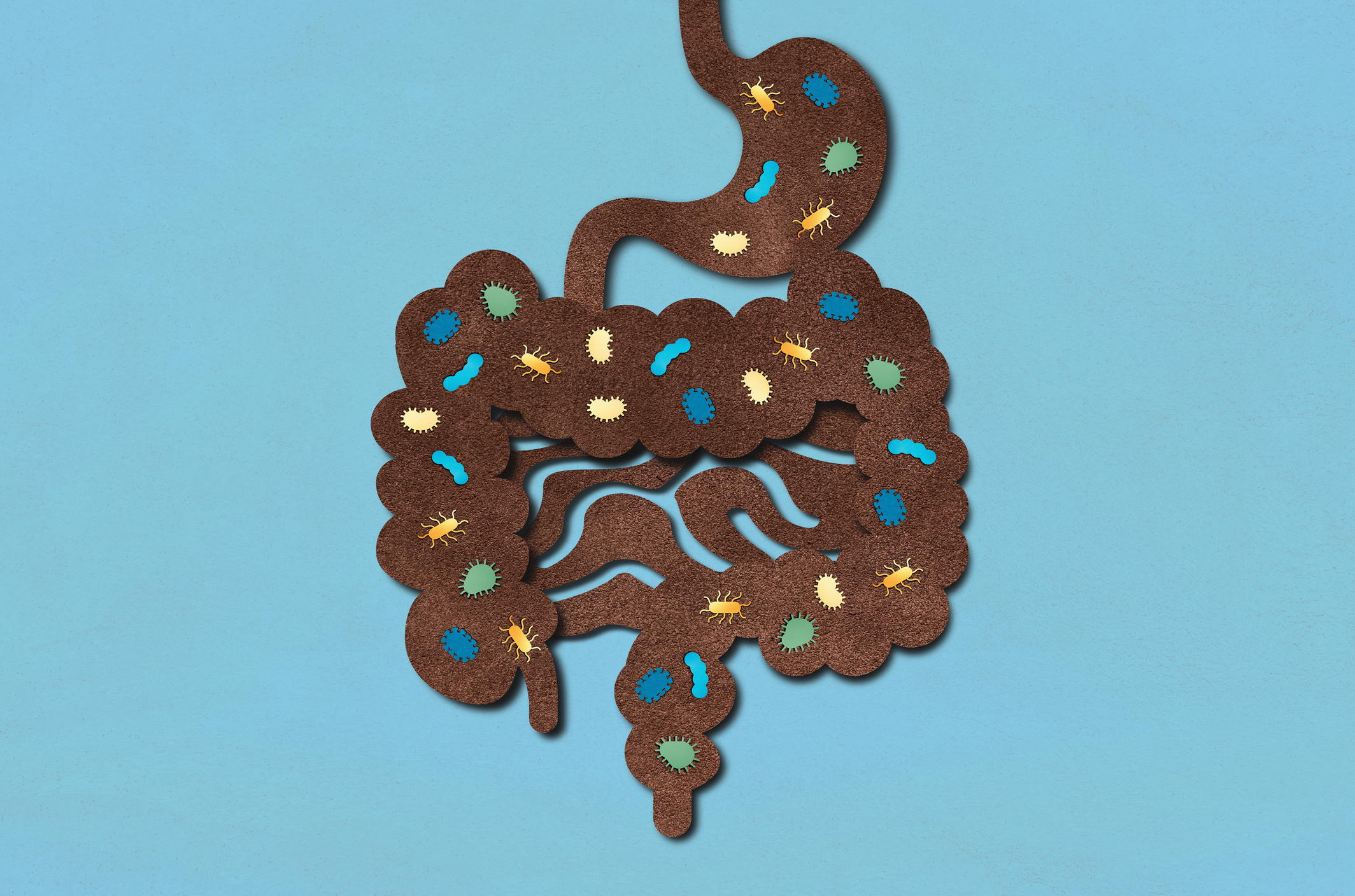 Could we actually poop out ‘forever chemicals’?