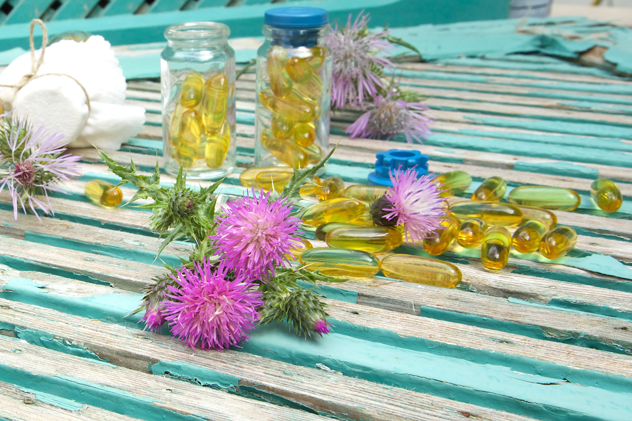 Milk thistle: Liver support for better cholesterol, blood sugar and weight