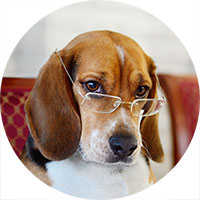 Jerry Walker, Ph.D., Dale Wilson, Ph.D.